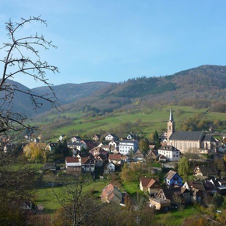 Gite Schlitteur Et Sapiniere Breitenbach Esterno foto