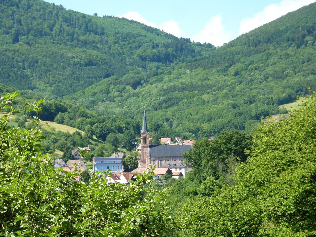 Gite Schlitteur Et Sapiniere Breitenbach Esterno foto