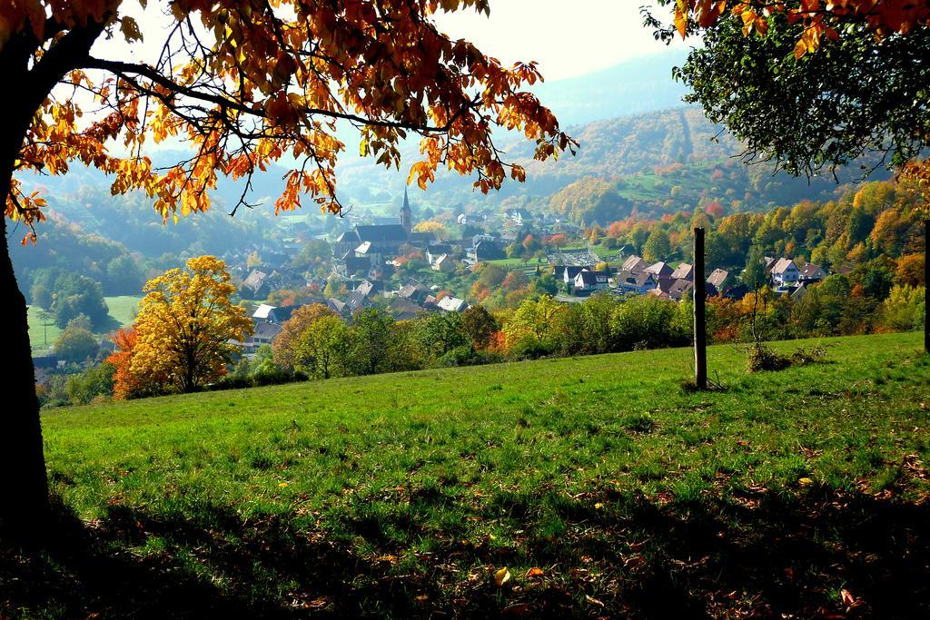 Gite Schlitteur Et Sapiniere Breitenbach Esterno foto