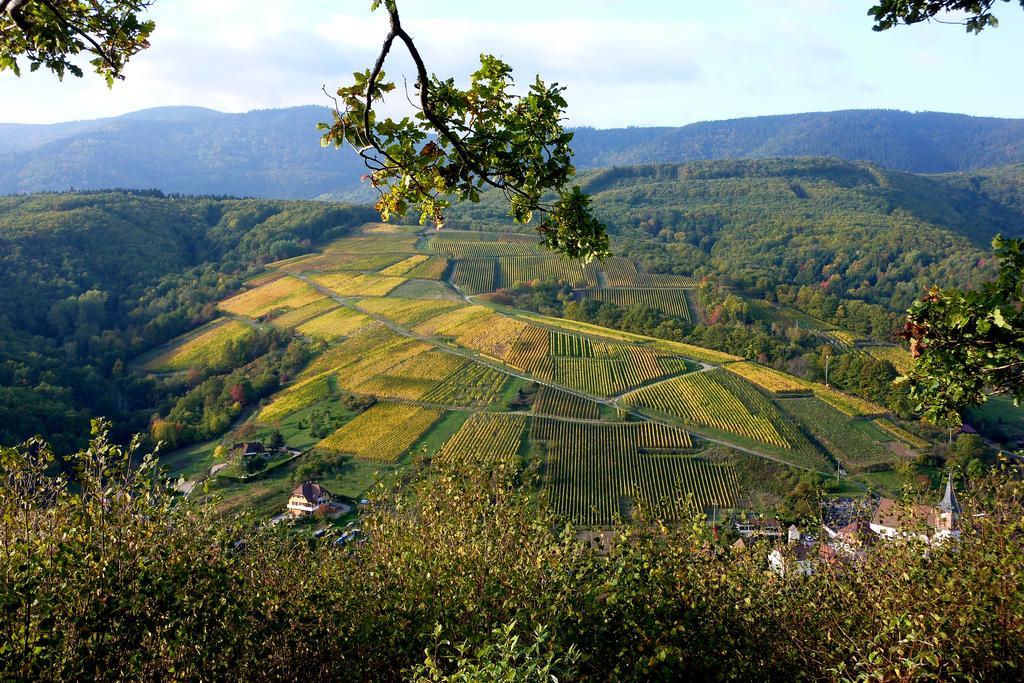 Gite Schlitteur Et Sapiniere Breitenbach Esterno foto