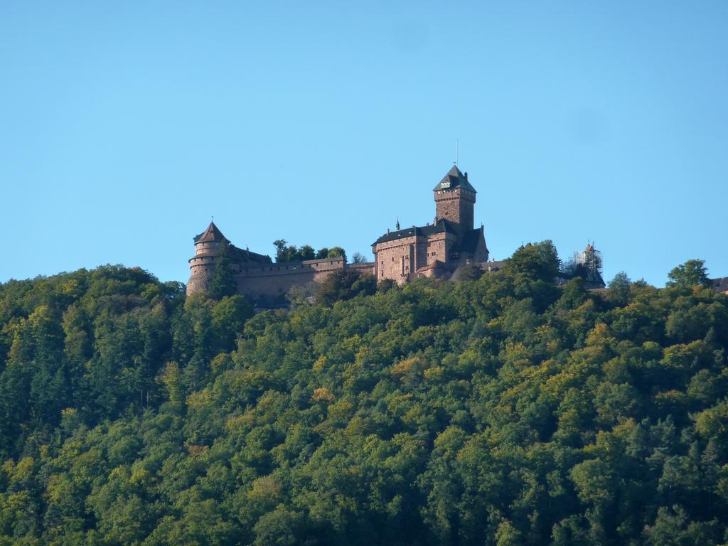 Gite Schlitteur Et Sapiniere Breitenbach Esterno foto
