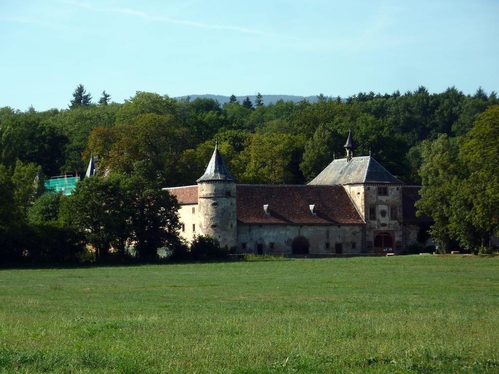 Gite Schlitteur Et Sapiniere Breitenbach Esterno foto