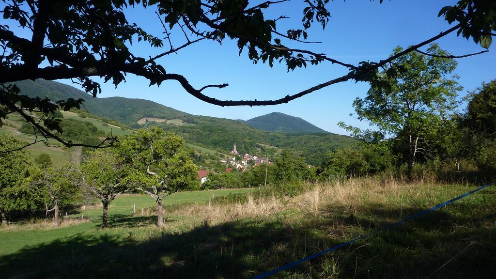 Gite Schlitteur Et Sapiniere Breitenbach Esterno foto