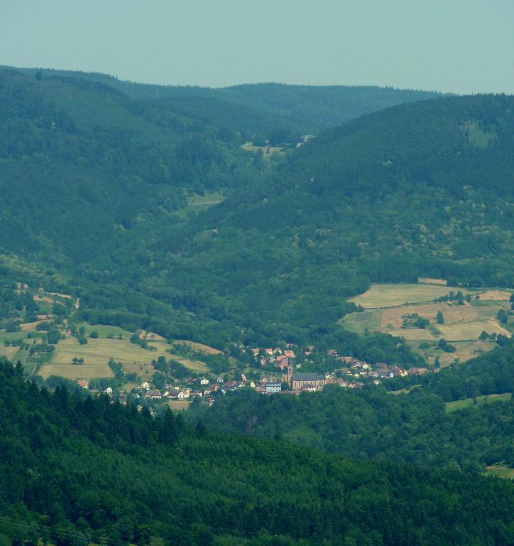 Gite Schlitteur Et Sapiniere Breitenbach Esterno foto
