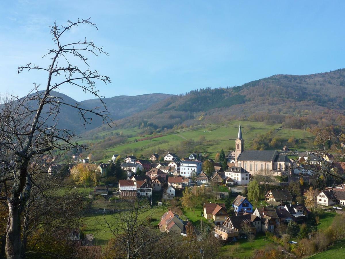 Gite Schlitteur Et Sapiniere Breitenbach Esterno foto
