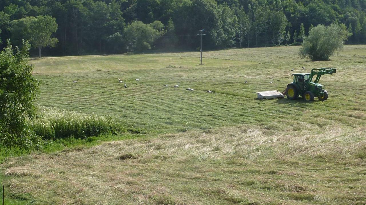 Gite Schlitteur Et Sapiniere Breitenbach Esterno foto