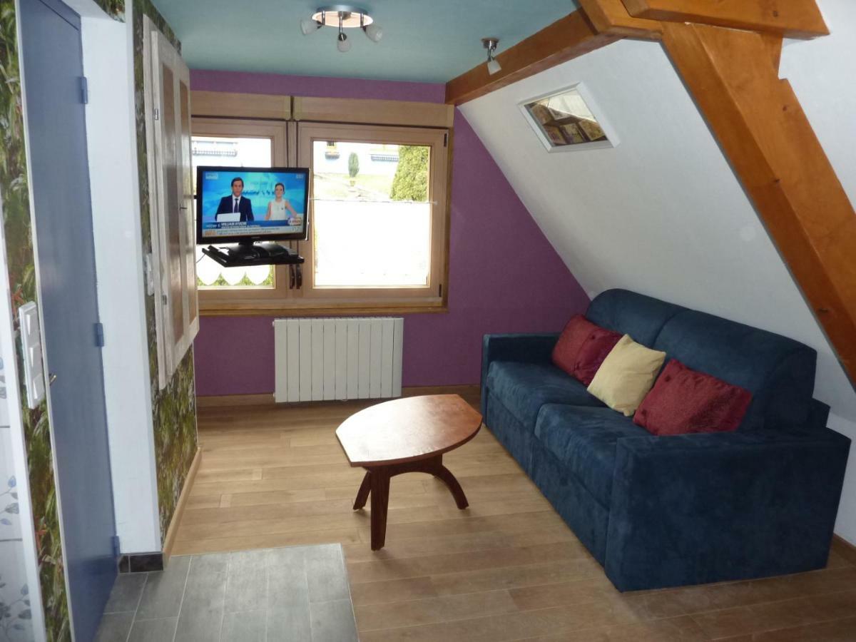 Gite Schlitteur Et Sapiniere Breitenbach Esterno foto