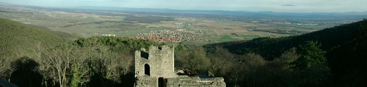 Gite Schlitteur Et Sapiniere Breitenbach Esterno foto